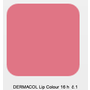 DERMACOL Lip Colour č.1 16 h 2v1 dlouhotrvající barva na rty a lesk  4,7g 24925