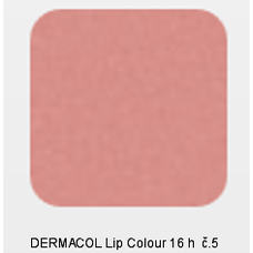 DERMACOL Lip Colour č.5 16 h 2v1 dlouhotrvající barva na rty a lesk 4,7g