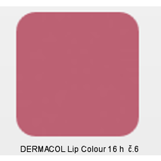 DERMACOL Lip Colour č.6 16 h 2v1 dlouhotrvající barva na rty a lesk 4,7g