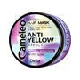 Delia Cosmetics CAMELEO Silver maska na blond vlasy 250 ml_88087